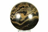 Polished Stromatolite (Greysonia) Sphere - Bolivia #264436-1